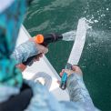 Ніж для риби Gerber Controller Rigor 31-003865 (1052471), фото 4