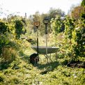 Телескопічні вила Fiskars Xact™ 1070717, фото 5
