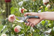 Секатор Gardena Comfort B/M и ножницы SchnippSchnapp (12200-20), фото 2