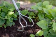 Культиватор S-ручка Fiskars Ergonomic (1076978), фото 4