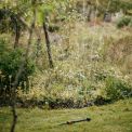Дощувач Fiskars осцилюючий Fiskars Solid M (1070835), фото 5