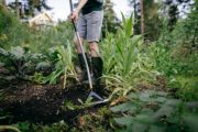 Мотика-розпушувач від бур'янів S-ручка Fiskars Ergonomic (1077110), фото 4