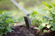 Мотика S-ручка Fiskars Ergonomic (1076979), фото 5