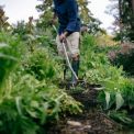 Мотика S-ручка Fiskars Ergonomic (1076979), фото 8