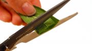 Багатофункціональні ножиці Fiskars Cuts+More леза з покриттям титановим 23 см 1000809, фото 14