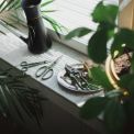 Набір для кімнатних рослин Fiskars 3-предмети (1075317), фото 7