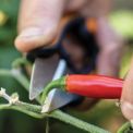 Ножиці для трав Fiskars SP-220 1063326, фото 4